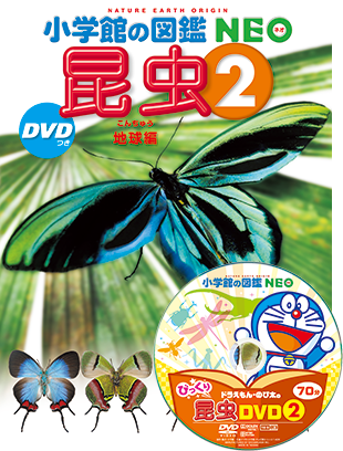 昆虫2 DVDつき