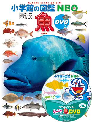 ［新版］魚 DVDつき