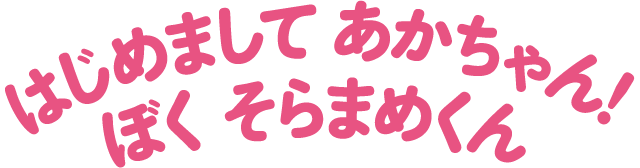 そらまめくんと おまめのなかま そらまめくん の絵本 小学館