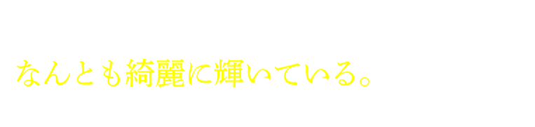 見慣れたはずの石が磨かれカットされ、なんとも綺麗に輝いている。　道尾秀介さん（作家）