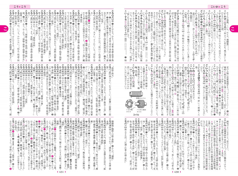 現代日本語の姿を映しだす言葉の万華鏡『新選国語辞典 第十版』『新選