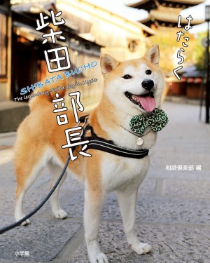 日本でいちばん美しい柴犬 はたらく柴田部長 に うっとり ほっこり 小学館