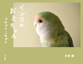 インコ界のアイドル「おとちゃん」、5年ぶりの新作！『インコのおとちゃん それから これから』