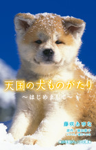 天国の犬ものがたり はじめまして 書籍 小学館