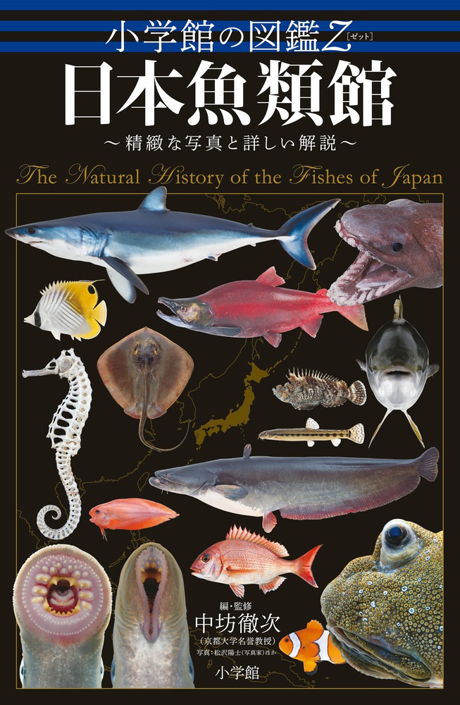小学館の図鑑ｚ 日本魚類館 小学館