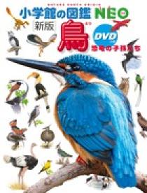 小学館の図鑑NEO〔新版〕 鳥 ＤＶＤつき | 書籍 | 小学館