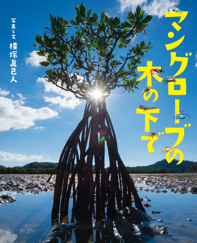 マングローブの木の下で 小学館