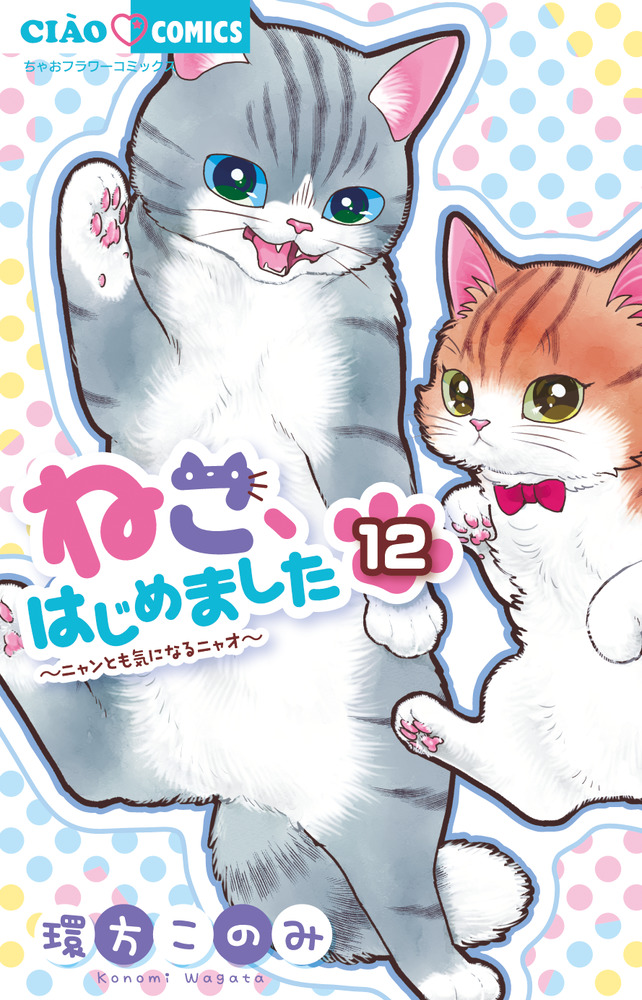 ねこ、はじめました １２ | 書籍 | 小学館